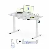 FlexiSpot Höhenverstellbarer Schreibtisch Basic–Mit Kabelmanagement, Haken und EINTEILIGER Tischplatte, Ergonomischer Homeoffice-Tisch, Bürotisch (100x60cm, Weiß)