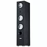 Canton Gle 490.2 Noir Avec fil 150 W