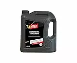 NIGRIN Motorenöl 5W-30 LongLife III | 6 Liter | für Pkw- Otto- und Dieselmotoren einschließlich Partikelfilter, Mehrbereichsmotoröl auf HC-Synthese Basis, VW 504 00/507 00/503 00/506 00