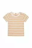 Noppies Boys Tee Oxie Short Sleeve
