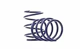 H&R 29255-4 Sportfedern, 2-er pack, Blau