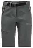 Jack Wolfskin Ziegspitz Shorts Slate Green 42