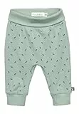 Sterntaler Hose Blätter - Unisex Babyhose mit Allover Print - Jogginghose aus Baumwolljersey mit elastischen Bündchen - Bequeme Kinder Schlupfhose, Kinderkleidung ab Geburt, steingrün, Größe 80