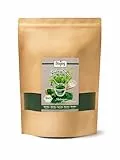 Biojoy BIO-Spirulina Pulver (1 kg), roh und rein, Spirulina Algen (Arthrospira platensis)