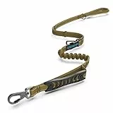 Iokheira Hundeleine, Verstellbare 1/1.5m Leine für Hunde mit stabilem Karabinerhaken,Bequemen Gepolsterte Griff und Reflektierende Fäden,Bungee Führleine mit Verkehrssteuergriff (Grün)