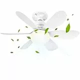 BuzzoXerex Deckenleuchte mit Ventilator, Deckenventilator mit Beleuchtung und Fernbedienung, Klein Leise Decken Ventilator mit 3 Windstufen, Dimmbar, Timing Funktion für Schlafzimmer (50CM)
