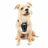 Kurgo TRU-Fit – Intelligentes Hundegeschirr, Trainingsgeschirr, Anti-Zieh-Geschirr inkl. Sicherheitsgurt – Schwarz, S