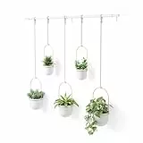 Umbra Triflora Vase, Hängeblumentopf, Wandvase, Blumenampel für Wand- und Deckenanbringung, 5 Töpfe, Weiss/Messing