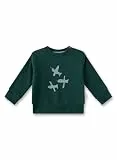 Sanetta Jungen-Sweatshirt Grün | Hochwertiges und gemütliches Sweatshirt aus Bio-Baumwolle Jungen. Sweatshirt mit Vogel-Motiv | Baby Bekleidung