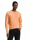 TOM TAILOR Denim Herren Pullover