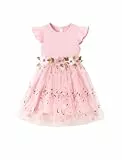 PATPAT Mädchen Kleid Festlich Ärmellos: Mädchen Tüll Prinzessin Partykleid Blumenstickerei, Ballkleid Tutu Kleid für Hochzeit, Geburtstag, Fest, Taufe, Bankett, Feiertag, Zartrosa 3-4 Jahre, 99-104