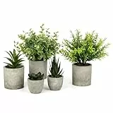 ZUPAPJO 5 Stück Kunstpflanze, Kunstpflanze mit Topf, Plastikpflanzen Enthält Eukalyptus, Rosmarin und Sukkulenten, für Hochzeiten, Büros, Balkon, Wohnzimmer, Schreibtisch und Badezimmer