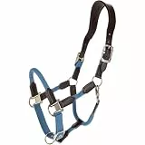 Covalliero - Halfter Cordano Deluxe FS26 – Robustes Halfter für Pferde – optimale Passform – Pferdehalfter mit Karabinerhaken & Leder-Genickriemen – Rauchblau (Smoked Blue) – Warmblut