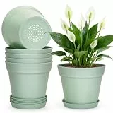 KINGLAKE 15cm Blumentöpfe mit Untersetzer - 6 Stück Pflanztöpfe Klein, übertopf Pflanztopf, Blumentopf Kunststoff Set, Topf Kleine Flower Pot für Pflanzen Kakteen Kräuter-Grün
