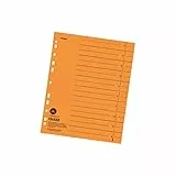 Original Falken 100er Pack Trennblätter. Made in Germany. Aus Recycling-Karton für DIN A4 orange Trennlaschen Trennblätter Ordner Register Kalender Blauer Engel