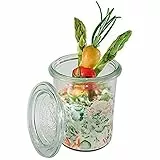 APS 82314 Einmach-Gläser 12er Set 160 ml mit Deckel, Ø 6 cm, H: 8 cm, Mini-Sturzform mit Glasdeckel, Einmachglas, Dekoglas, Dessertglas, Vorratsglas, spülmaschinengeeignet