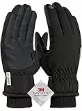 TRENDOUX Winterhandschuhe Herren, Warme wasserdichte Thermo Handschuhe Damen für Frauen 3M Thinsulate gefüttert Touchscreen for Fahrrad Outdoor Snowboard, Handschuhe Ski - Schwarz L
