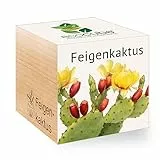 Feel Green - WE CREATE NATURE 501250 Feel Green Ecocube Feigenkaktus, Nachhaltige Geschenkidee (100% Eco Friendly), Grow Your Own/Anzuchtset, Pflanzen Im Holzwürfel, Made in Austria