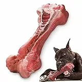MASBRILL Hundespielzeug, unzerstörbares Kauspielzeug für große Rassen, aggressives Kauen, Robustes Zahnspielzeug für Haustierzahnreinigung, interaktives Hundespielzeug aus Umweltfreundlicher Gummi