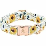 Elegant little tail Hundehalsband, Halsband, Sonnenblumen-Muster, Haustierhalsband, langlebig, niedlich, Sommer, Herbst, weibliches Haustier, Geschenk, verstellbares Hundehalsband für kleine Hunde