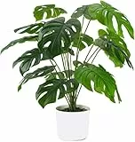 Laelfe Künstliche Monstera Pflanze im Topf, 55 cm Kunstpflanzen Fake Plant Gefälschte Tropische Palme Pflanze für Tischdekorationen Haus Wohnzimmer Schlafzimmer Balkon Zimmer Büro (12 Blätter)