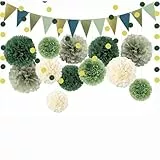 Pompons Deko, 16 Stück Grüne und Beige Papierblumen, Deko Gartenparty, Hochzeitsdekoration für Babyparty, Verlobung oder Geburtstag