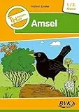 Themenheft Amsel 1./2. Klasse (Themenhefte: Differenzierter Sachunterricht)