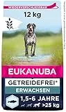 Eukanuba Hundefutter getreidefrei mit Fisch für große Rassen - Trockenfutter für ausgewachsene Hunde, 12 kg