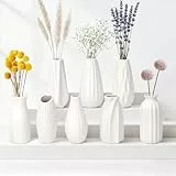 JBER 8 Kleine Vasen Deko Satz - 13cm Weiße Blumenvase Matte Keramik Vase für Pampasgras, Trockenblumen, Modernes Boho Skandinavische Home Dekor Vase, für Haushalts- und Hochzeitstisch-​ Dekoration