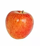 Herbstapfel 'Braeburn' Säulenobst ca. 60 cm – Malus domestica – kompakt, ertragreich, süß-säuerlich, ideal für Balkon, Terrasse & Garten, pflegeleichtes Obstgehölz im Topf