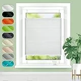 Homland Plissee ohne Bohren Klemmfix B65 x H120 cm Weiß, Plissees für Fenster und Tür, Jalousie Easyfix Plisseerollo mit Klemmträger Sonnenschutz und Sichtschutz lichtdurchlässig Rollo