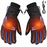beseloa USB Handschuhe Schutz für Herren Damen, Schutz Handschuhe Männer Frauen Winter Elektrische Heizung Sporthandschuhe Pour Cyclisme, Moto, randonnée, Chasse, ski et alpinisme