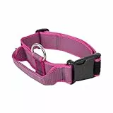 JULIUS K-9 100HA-K-PN-2015 Color & Gray K9-Halsband mit Haltegriff, Sicherheitsverschluss und Logo, 40 mm*38-53 cm, verstellbar, pink-grau