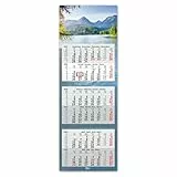 Timr 6-Monatskalender 2026 - Wandkalender 6 Monate mit Schieber - 95 cm Sechsmonatskalender mehrsprachig D/GB/F/ES I Motiv See I tr355