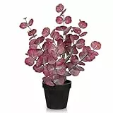 Arborus Kunstpflanze Eukalyptus Rot 46 cm Pflanze Künstlich wie Echt im Schwarzen Topf Eukalyptus Deko Fake Pflanze für Tisch Regal Fensterbank Deko Frühling Sommer Herbst Winter Hochzeit Deko