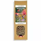 Blumensamen im schützenden Lehmmantel für Bienen und Schmetterlinge 400g. Mehrjährig & winterhart, Wildblumenmischung für 20 m². Wunderschöne Wildblumen Saatgut für bunte Bienenweide. Geschenk Kinder