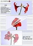 OLYMPIA Laminierfolie 100 X DIN A5 80 Mikron