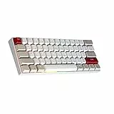 Newmen GM610 Gaming Mechanische Tastatur,Gaming Tastatur 60 Prozent Bluetooth/Mit Kabel,61 Tasten RGB Beleuchtung Hot Swap Anti Ghosting TKL Mini Keyboard für PC/Win/Mac,Rote Schalter