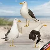 younikat Fensterbild 3 Möwen I statisch haftend I wiederverwendbar I See Meer Maritim Vögel I you0230