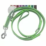 Activity4Dogs Anti-Slip Hundeleine aus Nylon | rutschfest | 2,80 m lang | 4-Fach verstellbare Führleine | für mittelgroße und große Hunde | Grün | Made in Germany