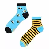 Many Mornings BEE BEE QUARTER-39-42