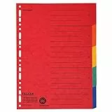 Falken 20er Pack Karton-Register überbreit für DIN A4+ 24,5 x 30 cm volle Höhe mit Organisationsdruck 5-teilig vollfarbig zur Ablage von Prospekt- und Klarsichthüllen