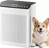 EVALIT Luftreiniger Allergiker, CADR 420m³/h, 200㎡, Air Purifier für Raucherzimmer gegen Rauch, Staub, Pollen, PM2.5 Anzeige, Luftreiniger für Haustiere,Aromatherapie, Weiß, 1 Pack + 3 Modi