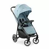 hauck Kinderbuggy mit Snack Ablage & Becherhalter, Shop N Care Dusty Blue