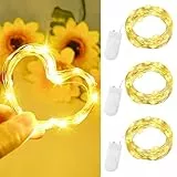 Dalugo LED Lichterkette Batterie, 3 Stück 2m 20 LED Mini Lichterkette mit Batterie, Kupferdraht Warmweiß Lichterketten Innen für Zimmer, Flasche,Geschenk Deko,Hochzeit, Party,Weihnachten