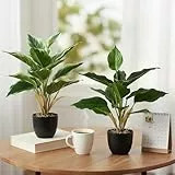 Ziyonix 2 Stück Kunstpflanze Wie Echt, 41CM Künstliche Pflanzen mit Topf Kunstpflanzen Dekopflanze Plastik Pflanze Indoor Dekor für Badezimmer Büro Küche Badezimmer