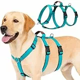 Olcyren Sicherheitsgeschirr Hund, Ausbruchsicheres Anti Zug Geschirr Hund mit Gepolstertem Griff, Panikgeschirr für Hunde, Verstellbare No Pull Dog Harness for Mittelgroße und Große Hunde (Türkis, L)