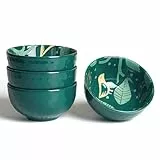 AOOSY Porzellan Müslischalen Set Dessertschalen,350ml Reisschale Suppenschüssel Bowl Schüssel,Salatschüssel aus Porzellan Schüssel Keramik Schüsselsets für Salat, Suppen, Ramen, Reis,Dessert 4 Stuck