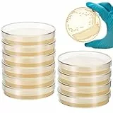 Cabilock 10 Stück Nähragarplatten, Vorgegossene Agar Platten in Petrischalen mit Deckel, 7 x 7 x 1 cm, für Schule, Laborunterricht, STEM Experimente und Mikrobiologie Lernen