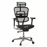 hjh OFFICE Bürostuhl ergonomisch ERGOHUMAN GEN2 Originales Design, 24h Einsatz Bürosessel mit Flexibler Lordosenstütze, Netz Schwarz
